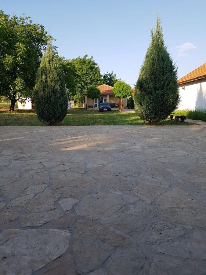 Villa Vikendica Lesic Cortanovci Exterior foto